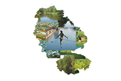 Zdjęcie artykułu „Uczymy się, pracujemy, zostajemy”